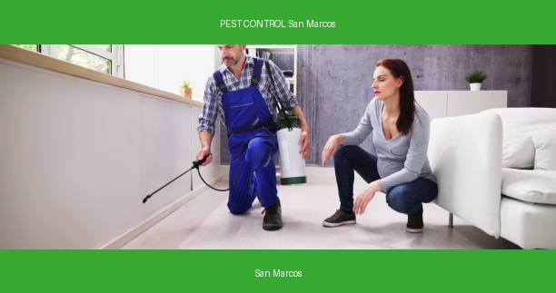 PEST CONTROL San Marcos